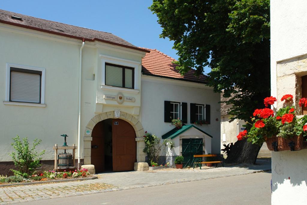 Winzerzimmer - Weingut Tinhof ไอเซนชตัดท์ ภายนอก รูปภาพ