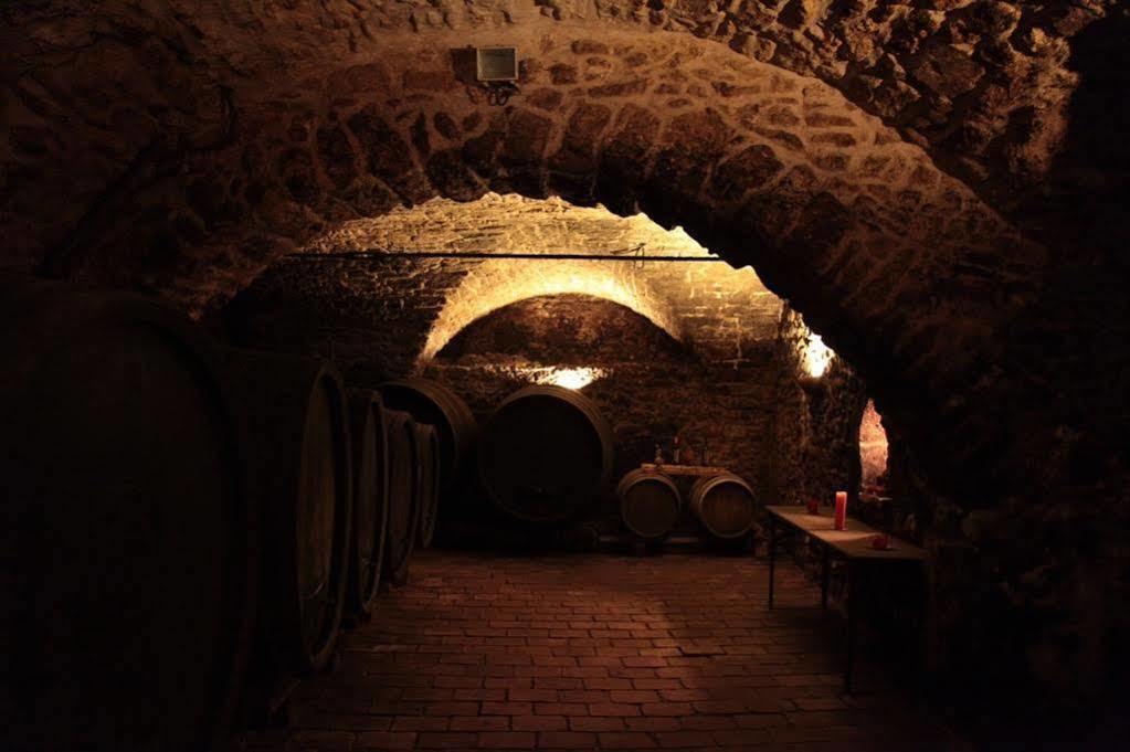 Winzerzimmer - Weingut Tinhof ไอเซนชตัดท์ ภายนอก รูปภาพ